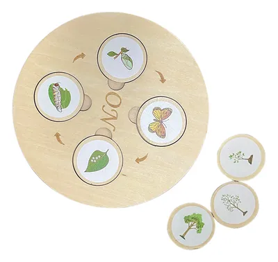Unisex Montessori Life Growth Learning Toys Preschool Educational Baby Wooden Life Cycle Tray view 2