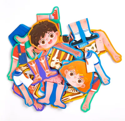 Wooden Body Structure Puzzle Human Cognitive Puzzle Boys And Girls Children's Toys view 2