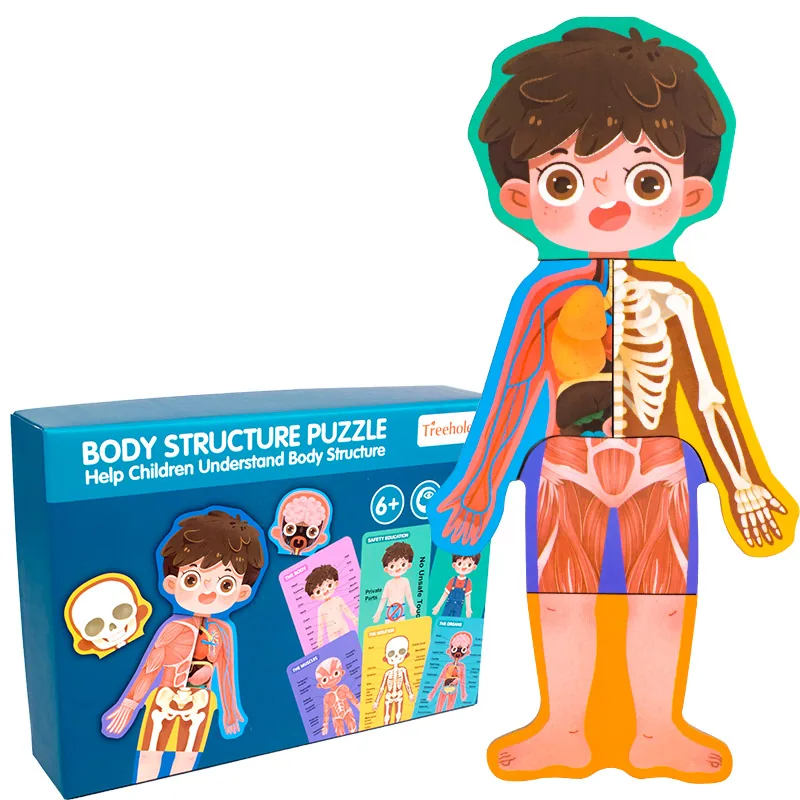 Wooden Body Structure Puzzle Human Cognitive Puzzle Boys And Girls Children's Toys — wooden puzzles & tangrams wholesale