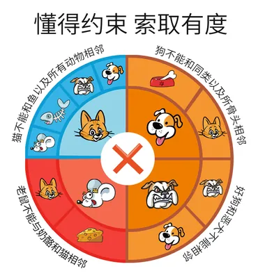 Xm Children's Educational Puzzle Toys Hourglass Timer Board Game Story Cards Thinking Training view 3