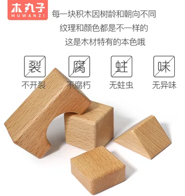 Beech Wooden Building Blocks For Toddlers With Expression Shape Sorter Preschool Learning — wooden building blocks & construction wholesale